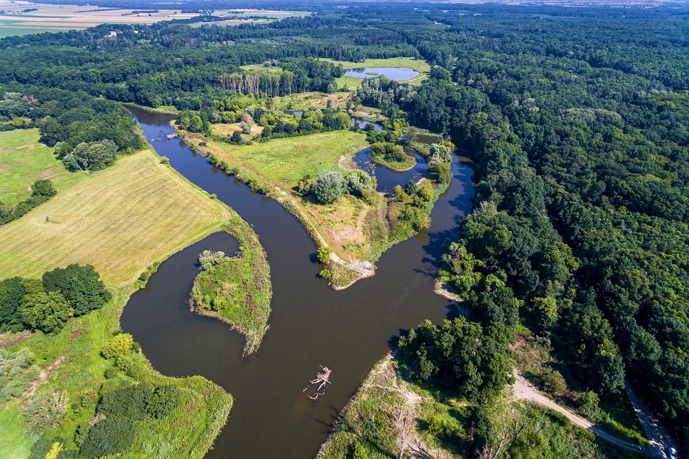 Nový prostor pro řeku Dyji, vítězný projekt v hlasování veřejnosti Adapterra Awards 2020, foto: Povodí Moravy