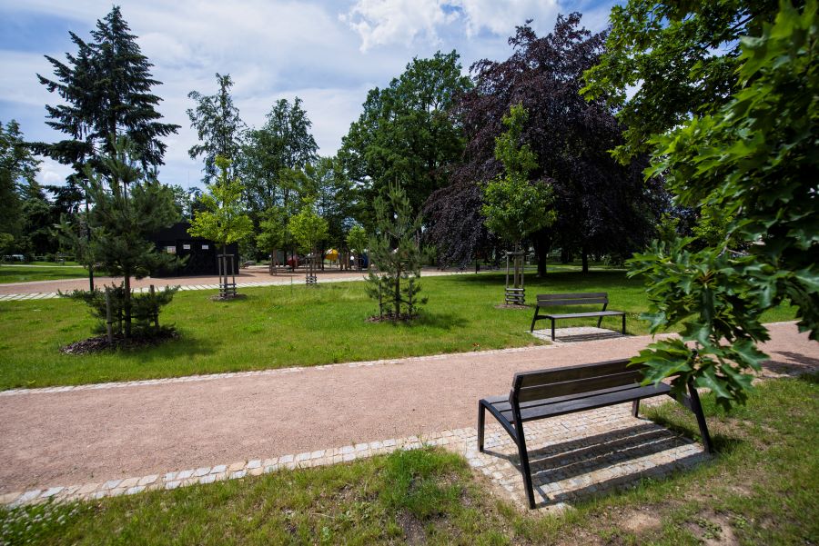 Obnova parku Stromovka v Humpolci.