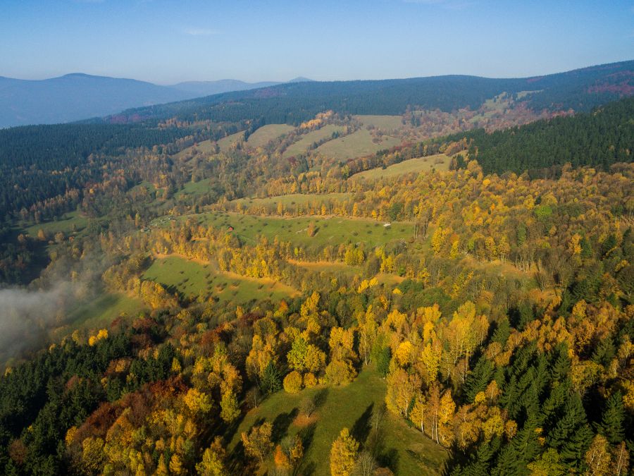 Krkonošské lesy. Foto Správa KRNAP