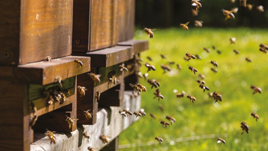 Foto ilustrační shutterstock/MiShu