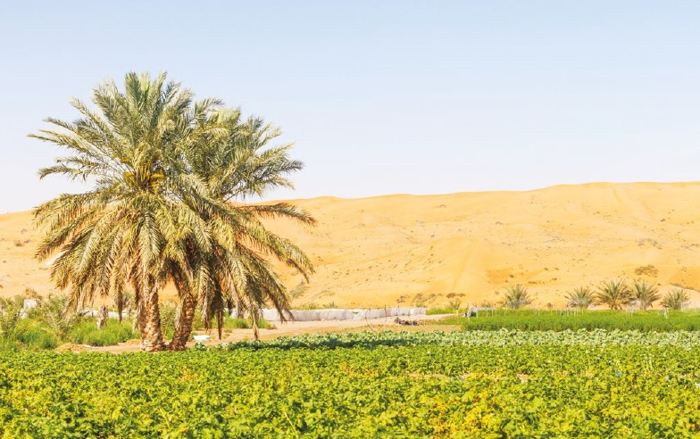 Ilustrační foto Shutterstock_David Steele