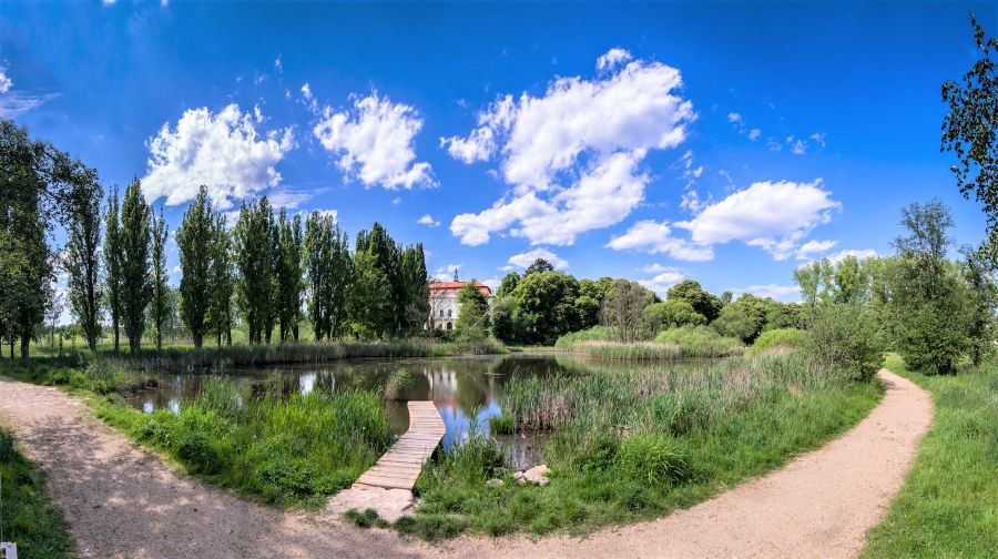 Mokřad Jablonné, pohled na jednu z nově vytvořených tůní Foto spolek Čmelák