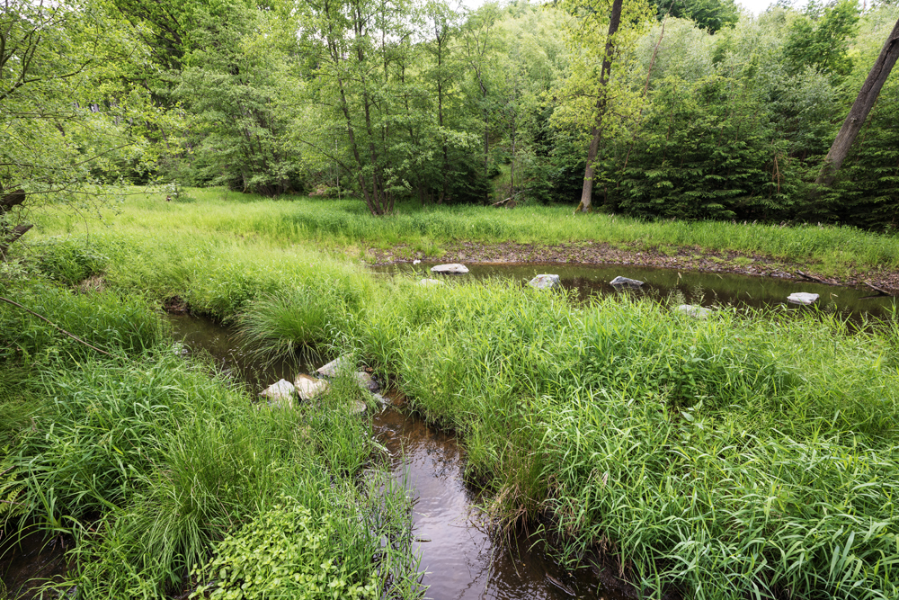 Revitalizace údolní nivy Čbán Foto SFŽP ČR